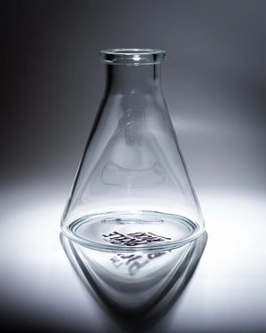 Колба для кальяна Conical Transparent Print Rick